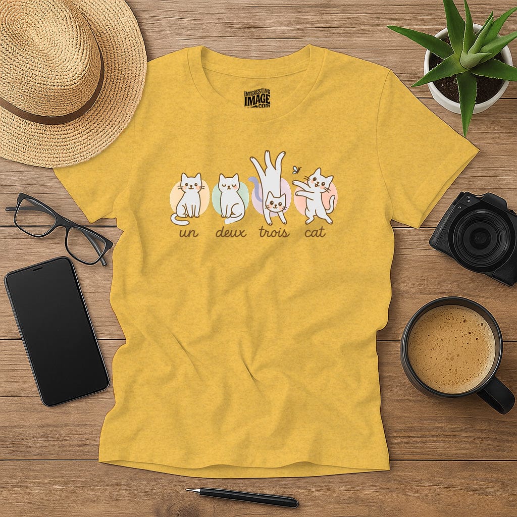 Un Deux Trois Cat