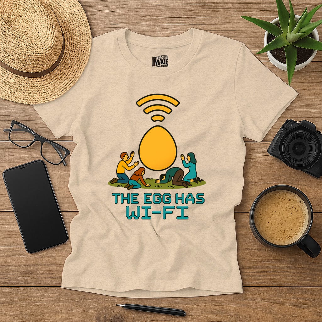 The Egg Has Wi-Fi