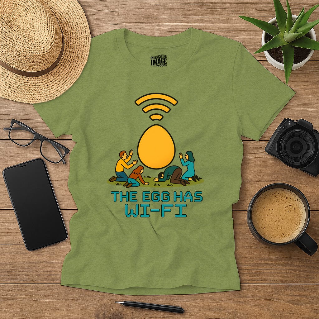 The Egg Has Wi-Fi