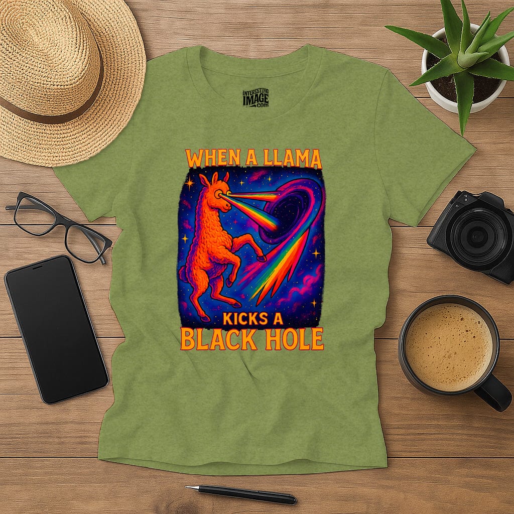 When a Llama Kicks a Black Hole