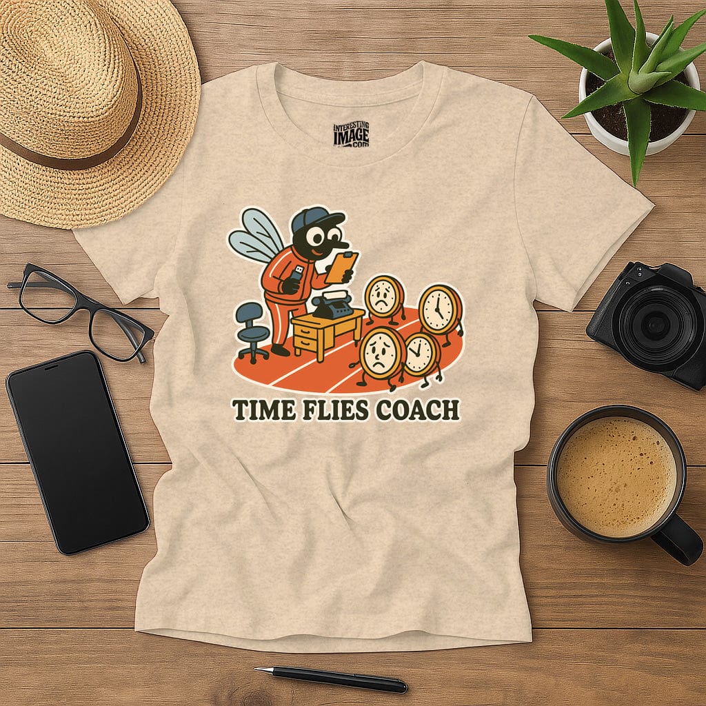 Time Flies Coach