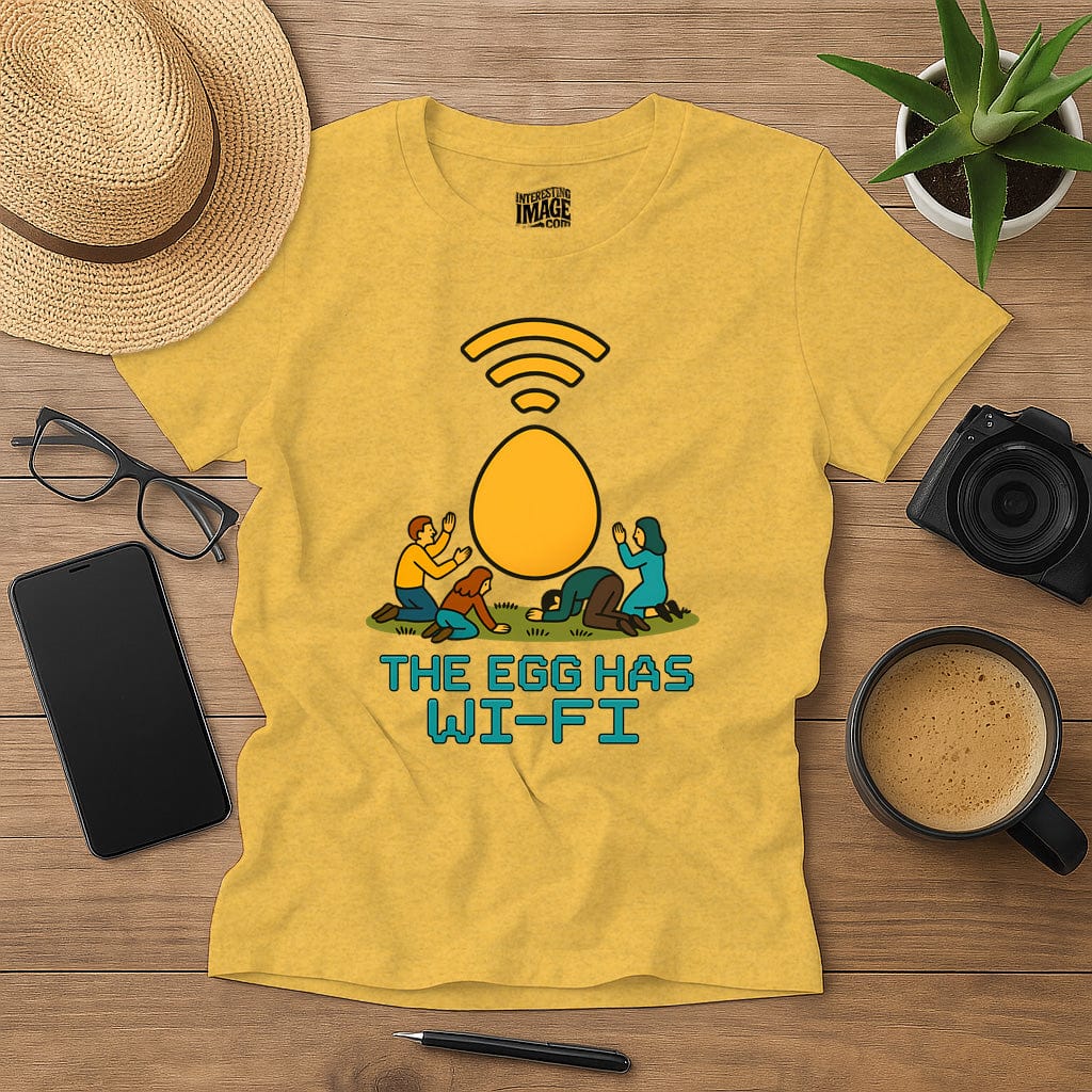 The Egg Has Wi-Fi
